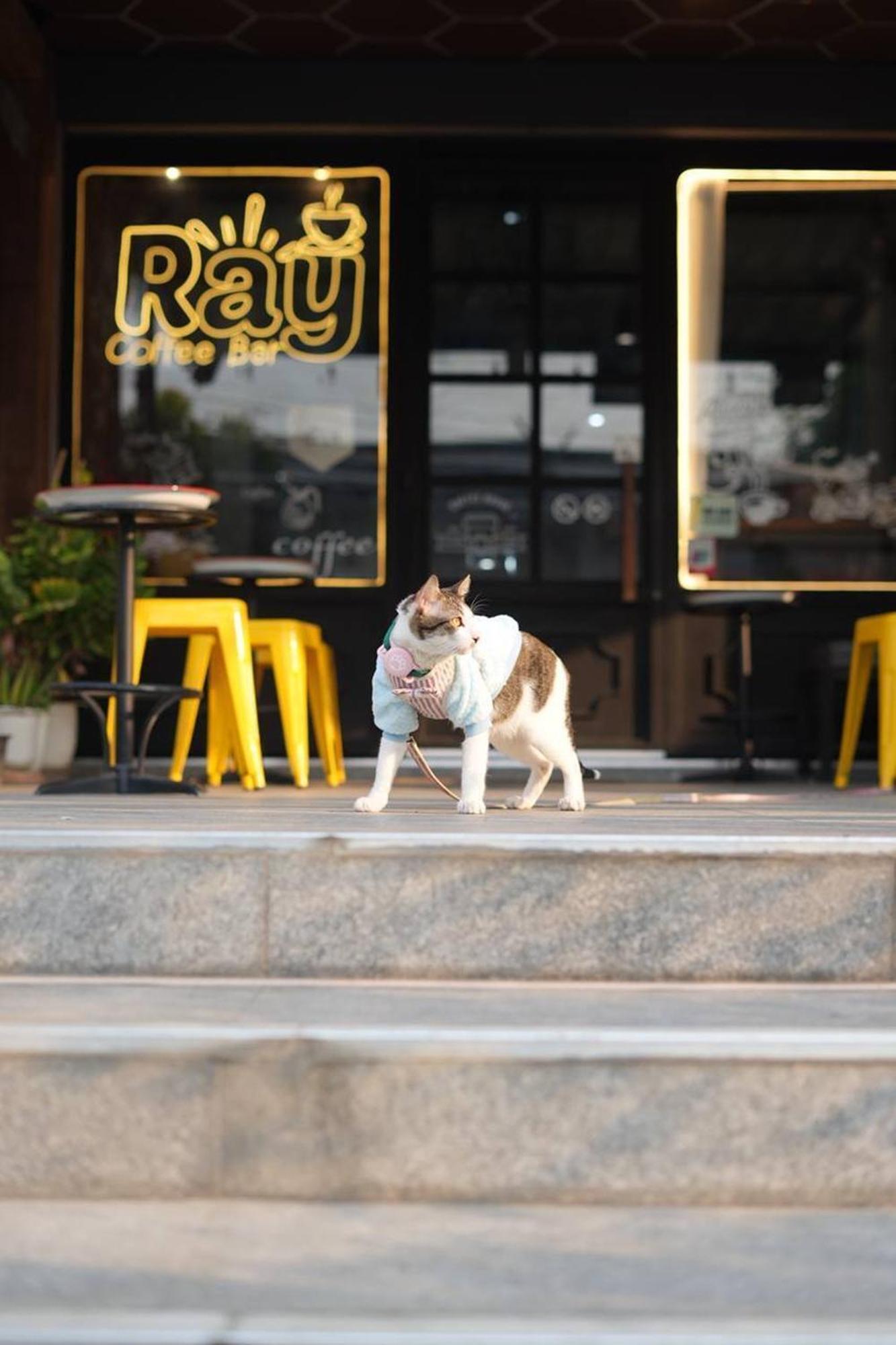 Ray Hostel Chiang Mai Exterior foto